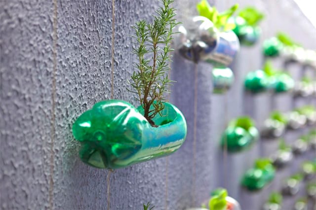 Turning Plastic Bottles Into a Backyard Vertical Garden