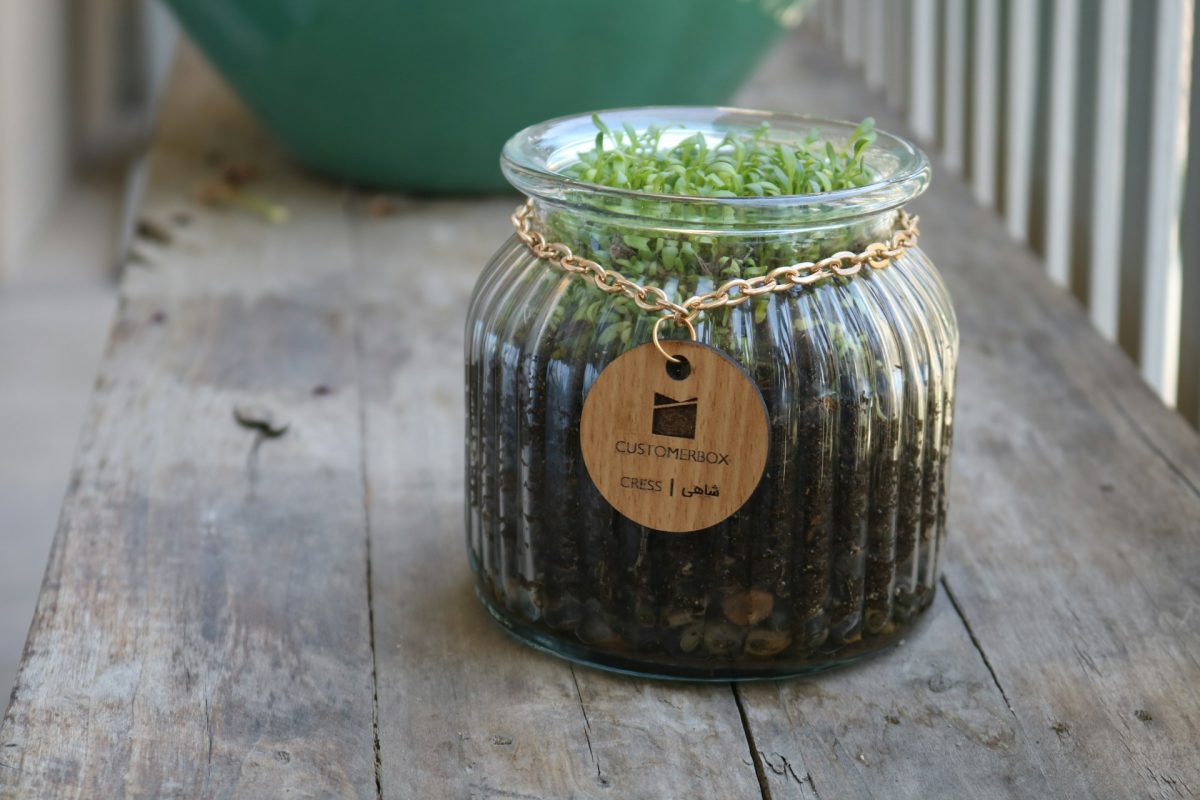DIY mason jar herb garden hanging in bright farmhouse kitchen 1