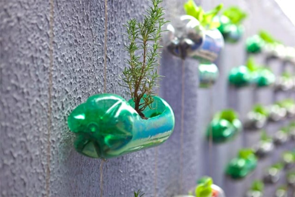 DIY vertical garden made from plastic bottles on backyard fence, lush herbs growing.jpg
