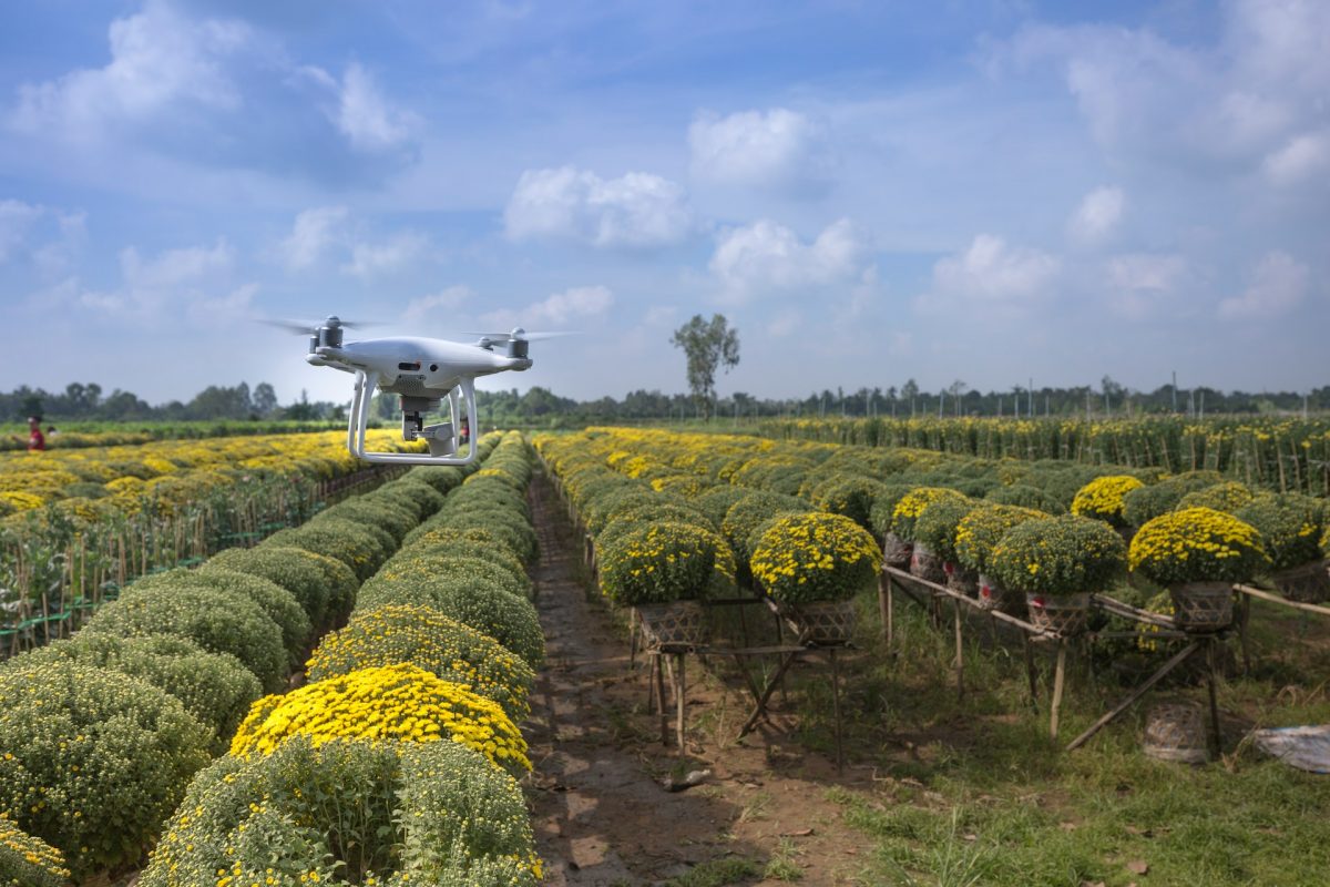 drone assist in planting patterns.jpg