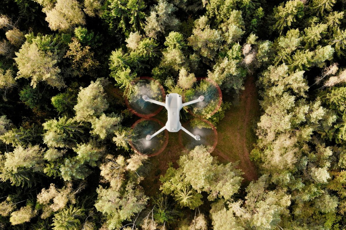 drone capturing aerial forest photos.jpg