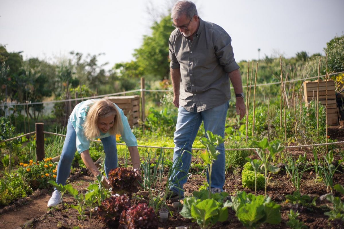 neighbors gardening together in shared backyard vegetable plot 2.jpg
