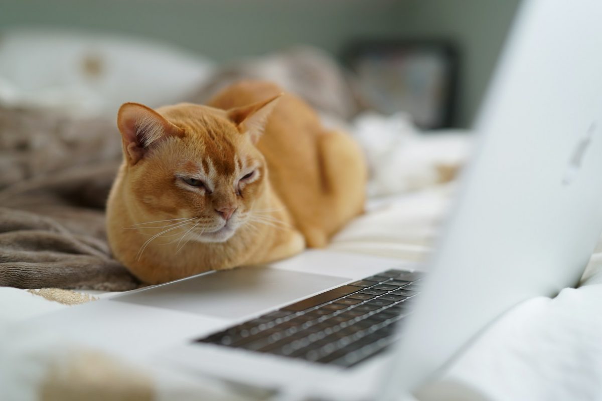 tired employee replying to emails.jpg